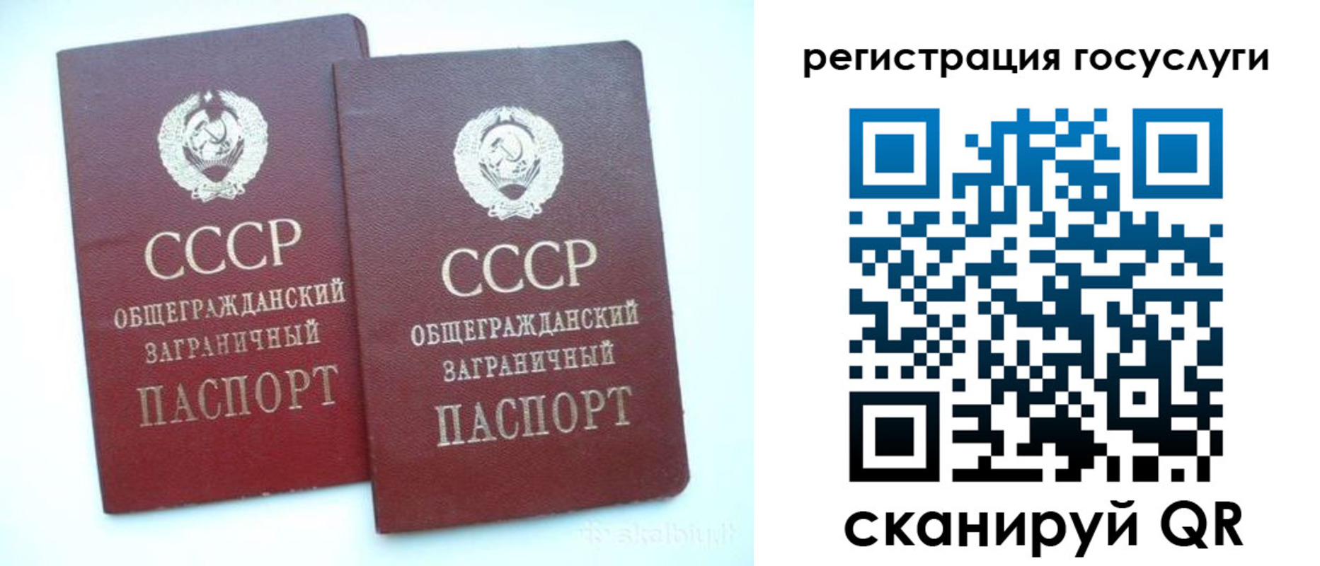 прописка штамп в Дмитрове